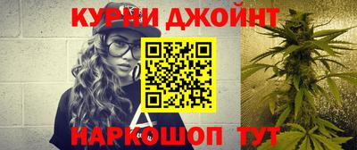 прущие грибы Апшеронск