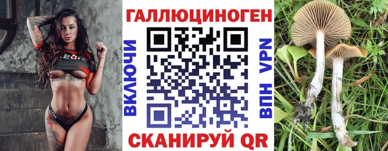 Галлюциногенные грибы Psilocybe  Ачинск 