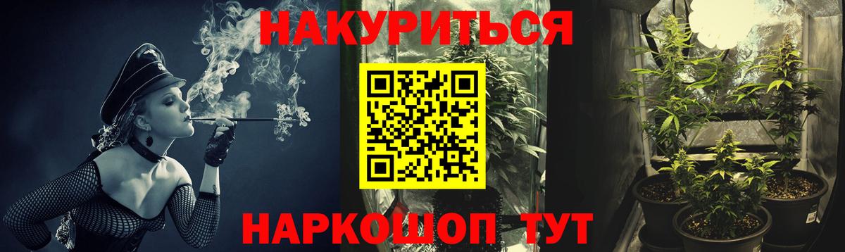 Конопля сатива Ачинск